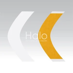 کلاه گیس شینیون