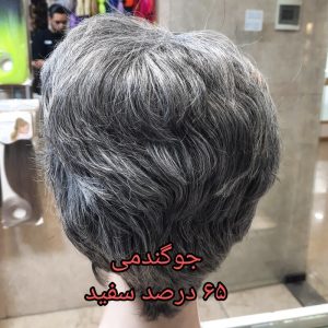 کلاه گیس مردانه جوگندمی | کد: ZNB-W4C
