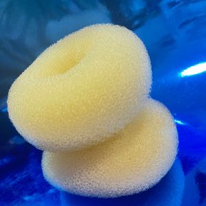 پروتز سیلیکونی شینیون – قهوه ای | کد: ZNB-UWU