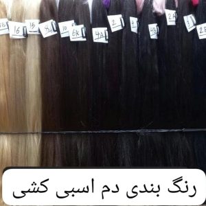 دم اسبی کشی | کد: ZNB-U1H