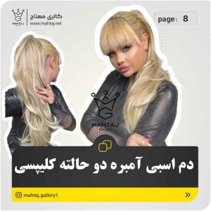 دم اسبی دو حالتی کلیپسی | کد: ZNB-UC2