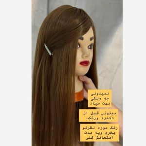 پروتز مو کفسری گیره دار – مشکی پرکلاغی | کد: ZNB-X14